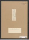 Diatomeae indet. Zeichnungen Sammlung Grunow Nr. 6599 (NHMW-BOT-W0375351)
